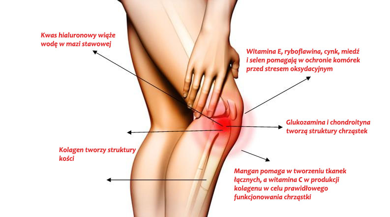 Choroba zwyrodnieniowa stawów (ChZS) – jak sobie z nią radzić