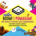 „Boom! I pomagam!” – Boomerang pomaga bezdomnym zwierzakom