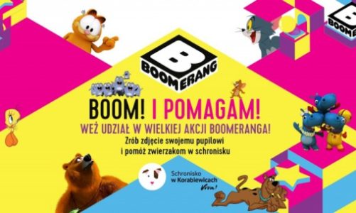 „Boom! I pomagam!” – Boomerang pomaga bezdomnym zwierzakom