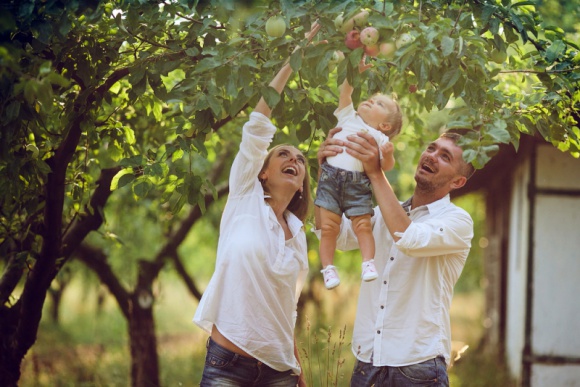 Nowe produkty z farmy Pana Organica! Dziecko, LIFESTYLE - Rodzice, którzy szukają dla swojego dziecka żywności ekologicznej, mają powody do radości - rodzina Gerber Organic powiększa się o 3 kaszki i 4 mleczne deserki. Pomogą one w urozmaicaniu jadłospisu malucha oraz ułatwią rodzicom dostęp do organicznych produktów dla dzieci.