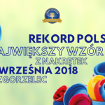 W Zgorzelcu będą bić Rekord Polski dla chorego Aleksa