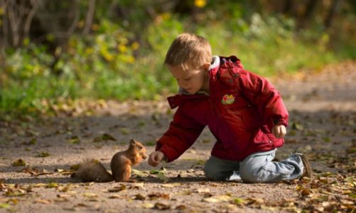Rekordowa liczba przedszkolaków z całej Polski uczy się jak dbać o naturę
