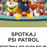 Bohaterowie „Psiego Patrolu” we Wrocławiu!